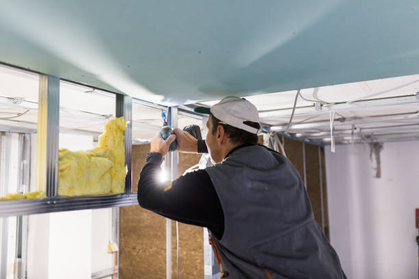 Best Insulation Maintenance and Repair in Davenport, IA