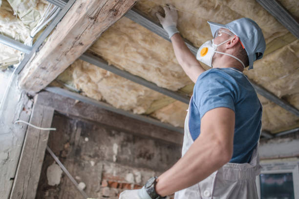 Best Energy Efficiency Solutions in Davenport, IA