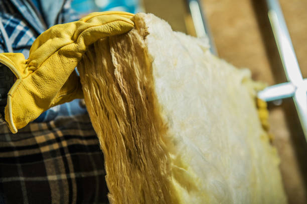 Best Insulation Installation Services in Davenport, IA