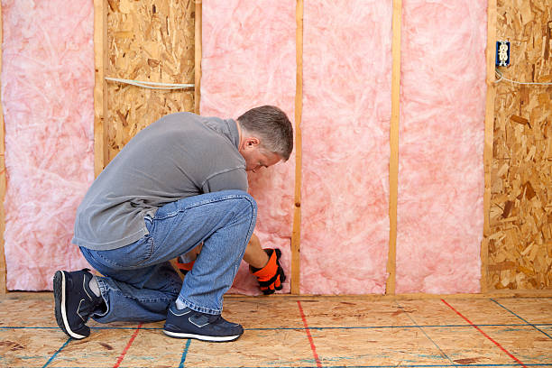 Best Types of Insulation in Davenport, IA